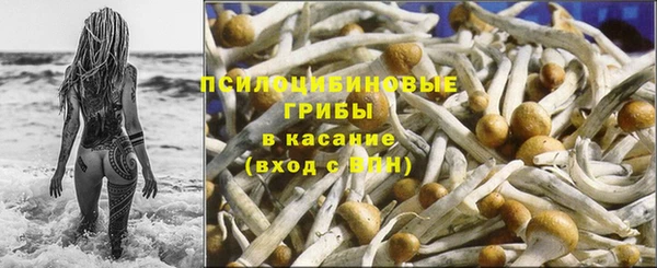 наркотики Белокуриха