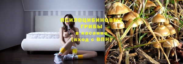винт Беломорск